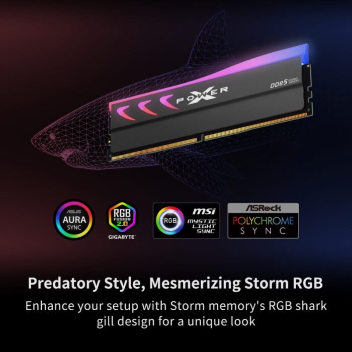 Storm DDR5 RGB PT 4 07100960 5671 4d9f 8490 84e0105a9d4a