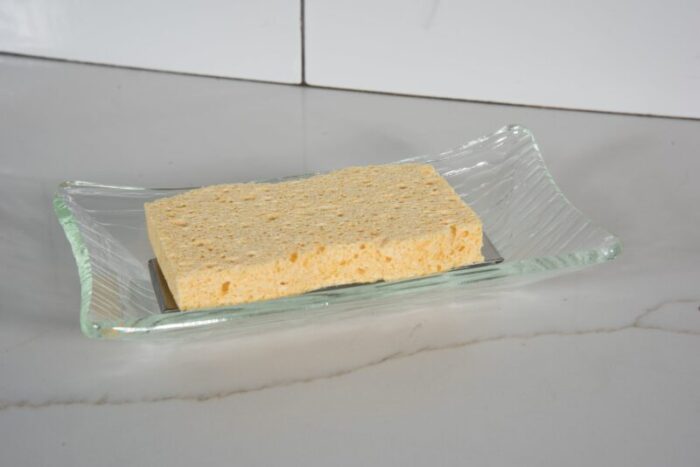 Transparent sponge holder