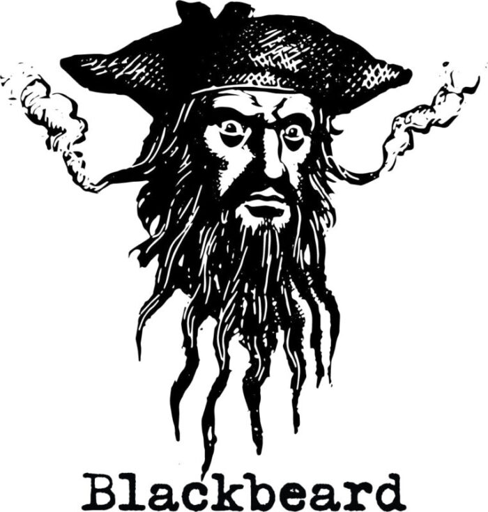 blackbeard head sticker accessories house of swank 506019